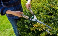 Gardena škare NatureCut